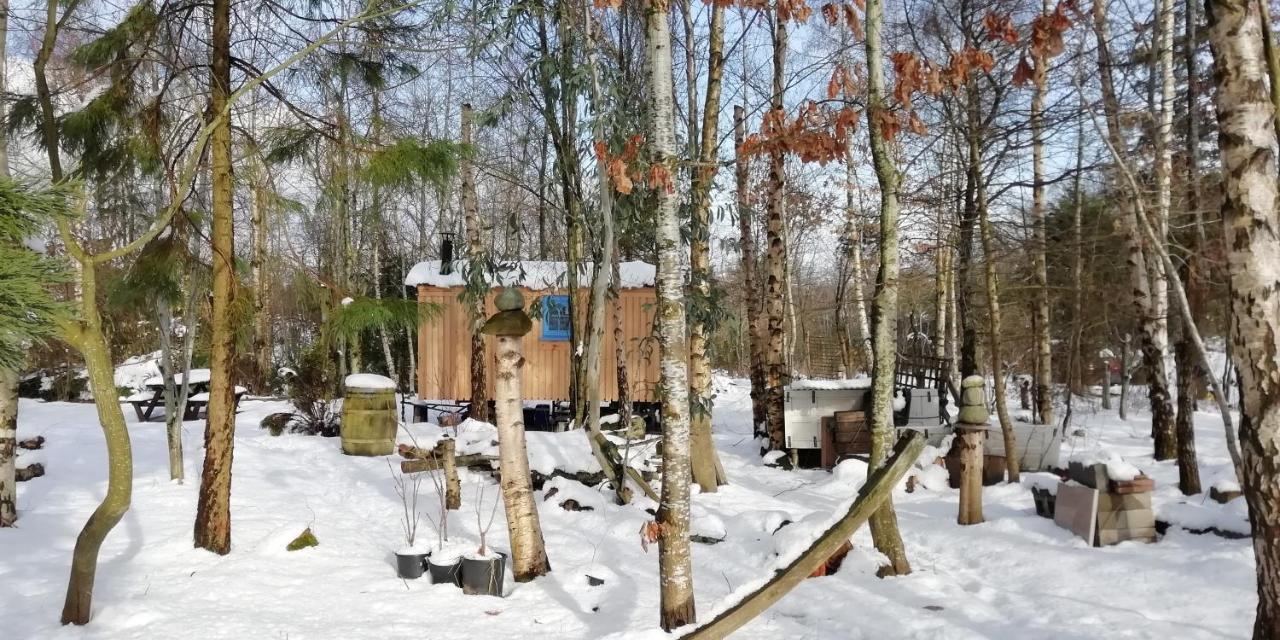 Sapphire Forest Garden Shepherd'S Hut Church Stretton Exterior foto